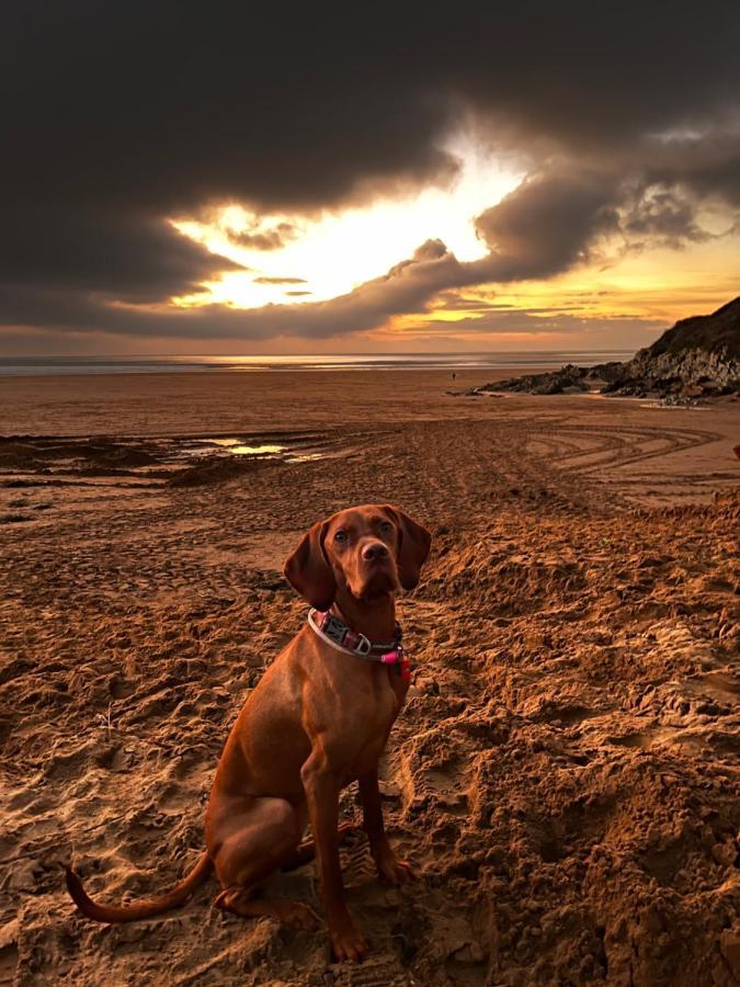 4 Rockham - Luxury Apartment At Byron Woolacombe, Only 4 Minute Walk To Woolacombe Beach! Extérieur photo